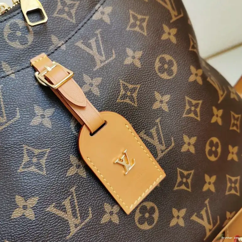 Brother sam LV 207B570015 Bags 0713